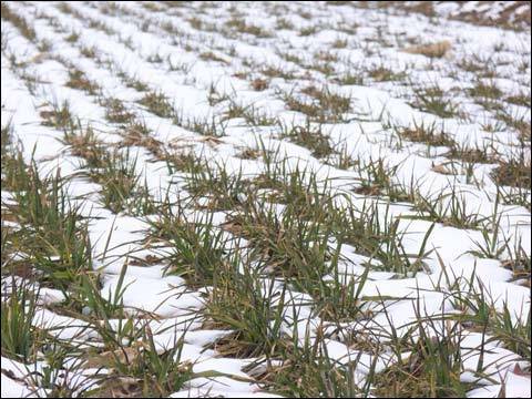  足协新政落地生根，联赛生态呈现崭新气象