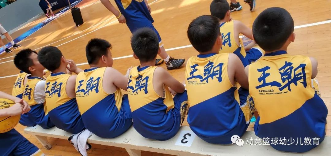  篮球青训体系完善，后备人才储备充足